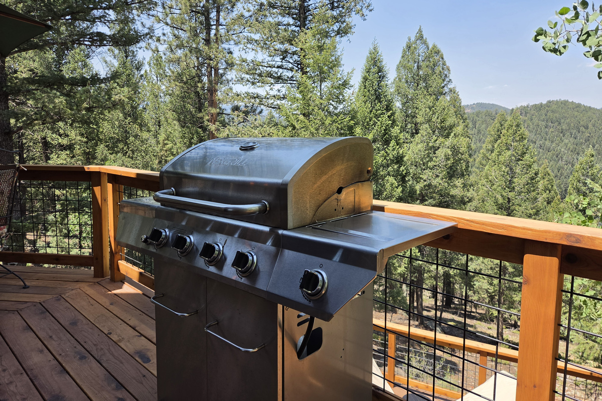 Is it going to be burgers or steaks?