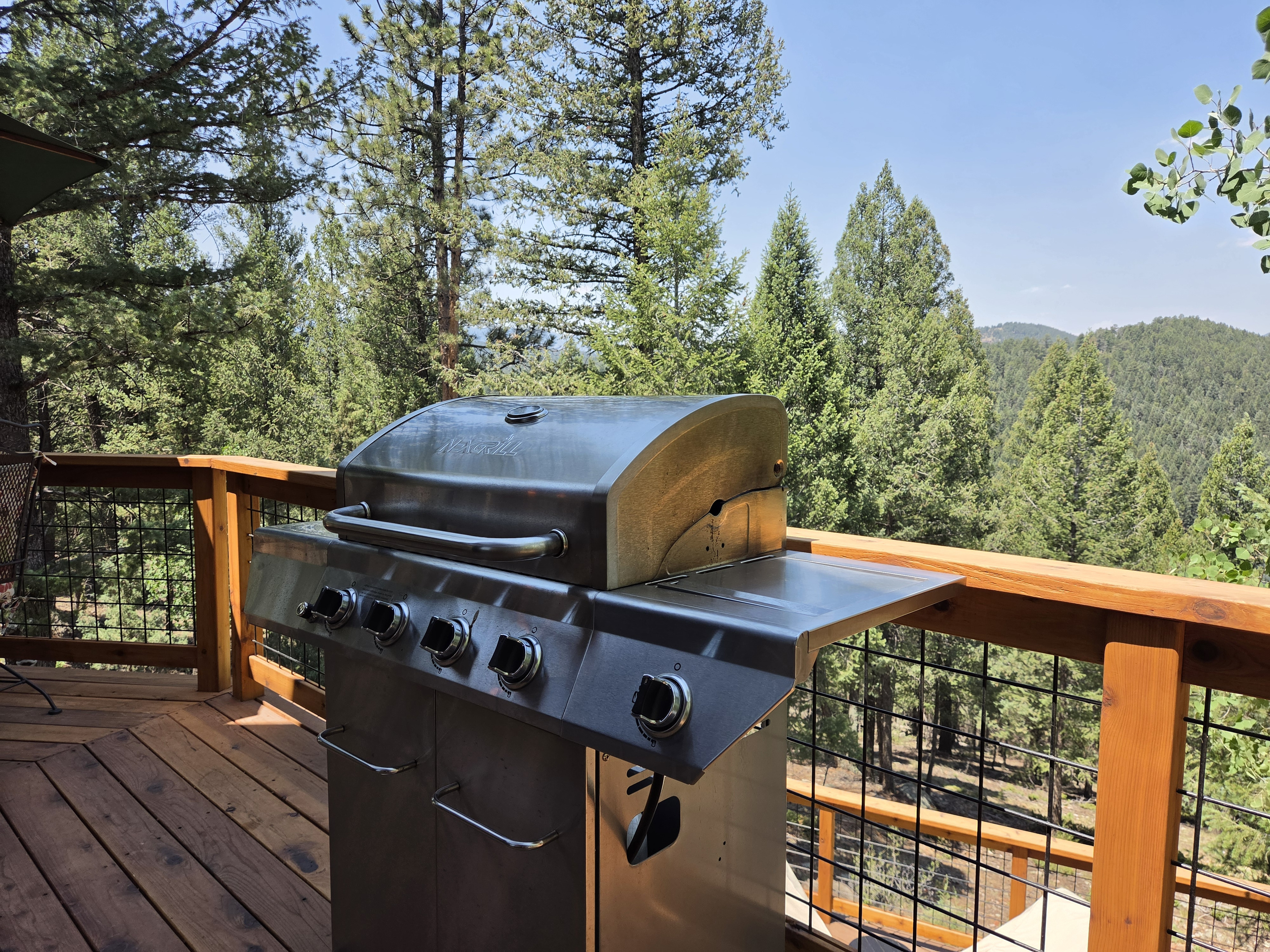 Is it going to be burgers or steaks?