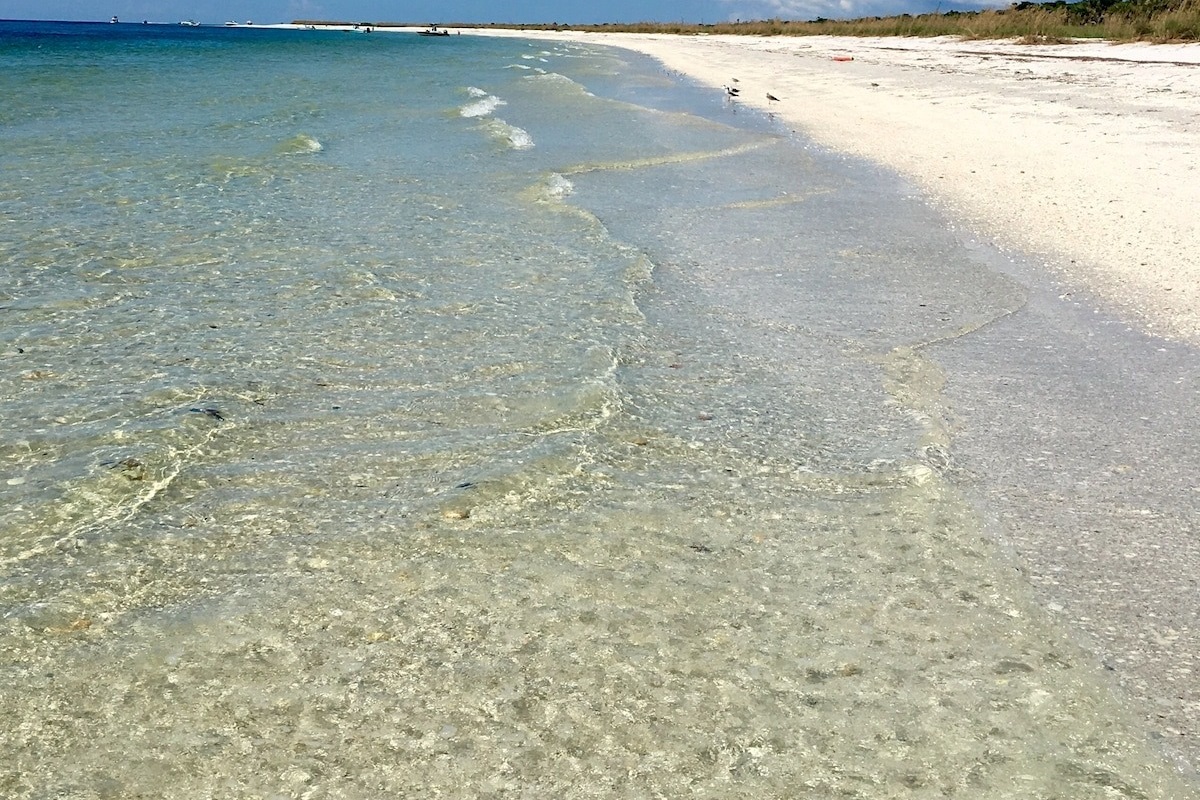 Shell Island is a 7-mile-long barrier island that forms the southern part of St. Andrews State Park