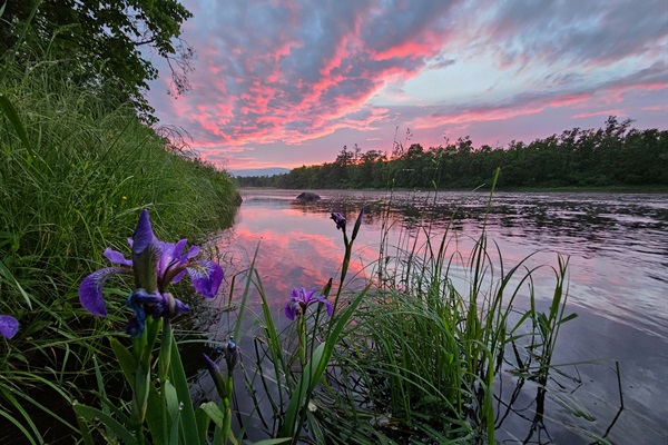 Chippewa River Cabin