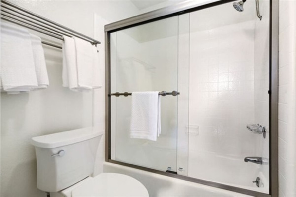 Shower and Soaking Tub