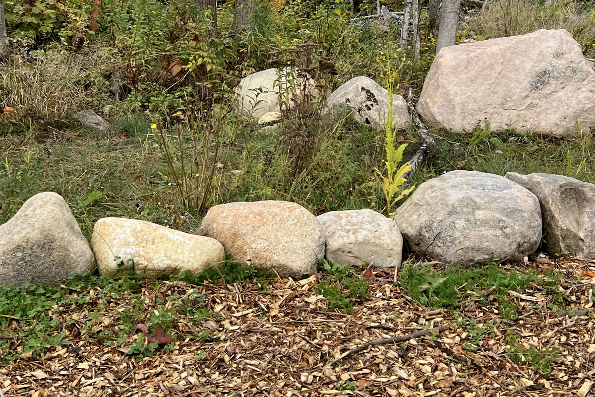 Follow the River Ridge Trail through the beautiful Adirondack forest to the Ausable River.