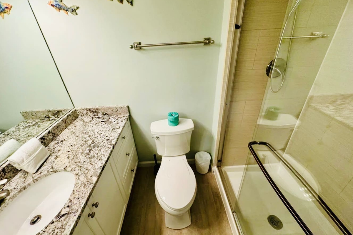 Primary bathroom with walk-in shower