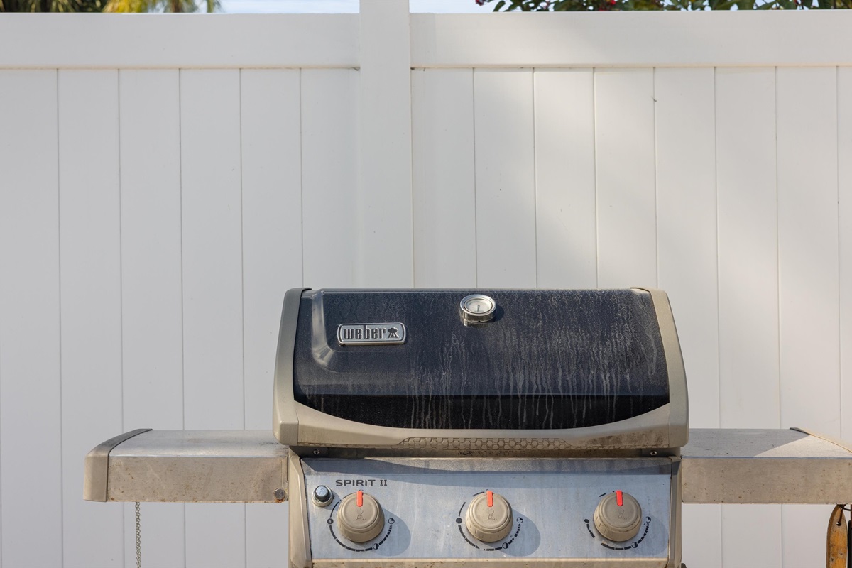 Prep dinner on the BBQ grill and chit-chat.