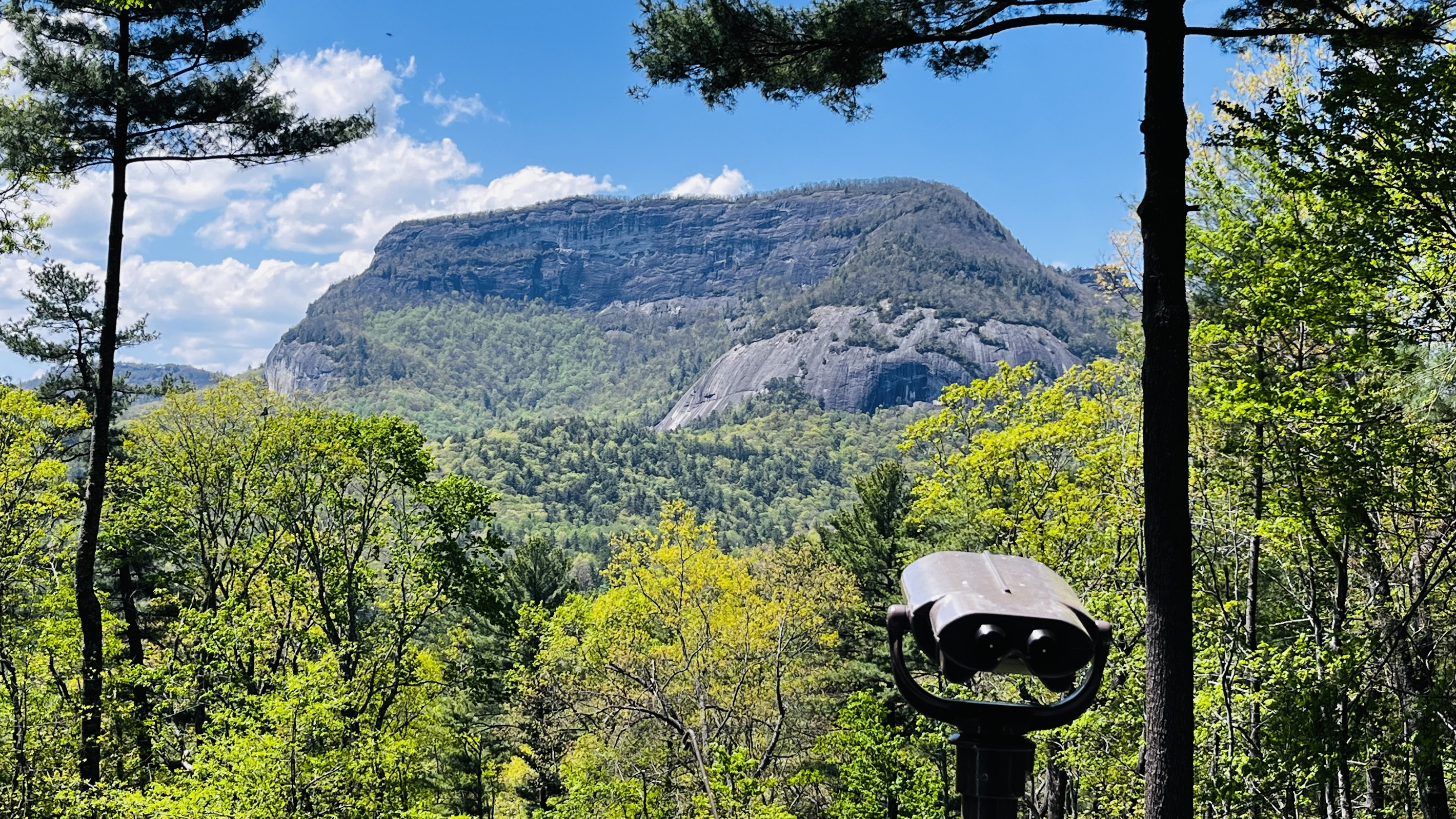 Spring view