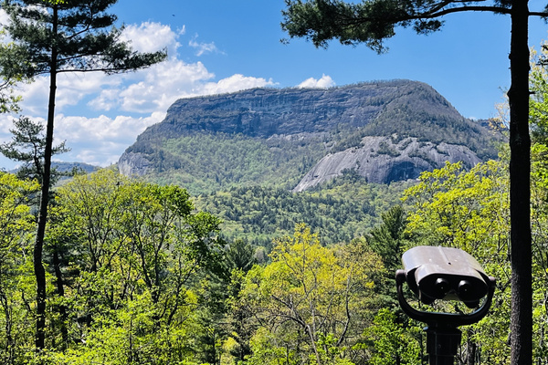 Spring view