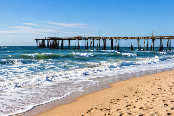 Oceanside Oasis photo 3