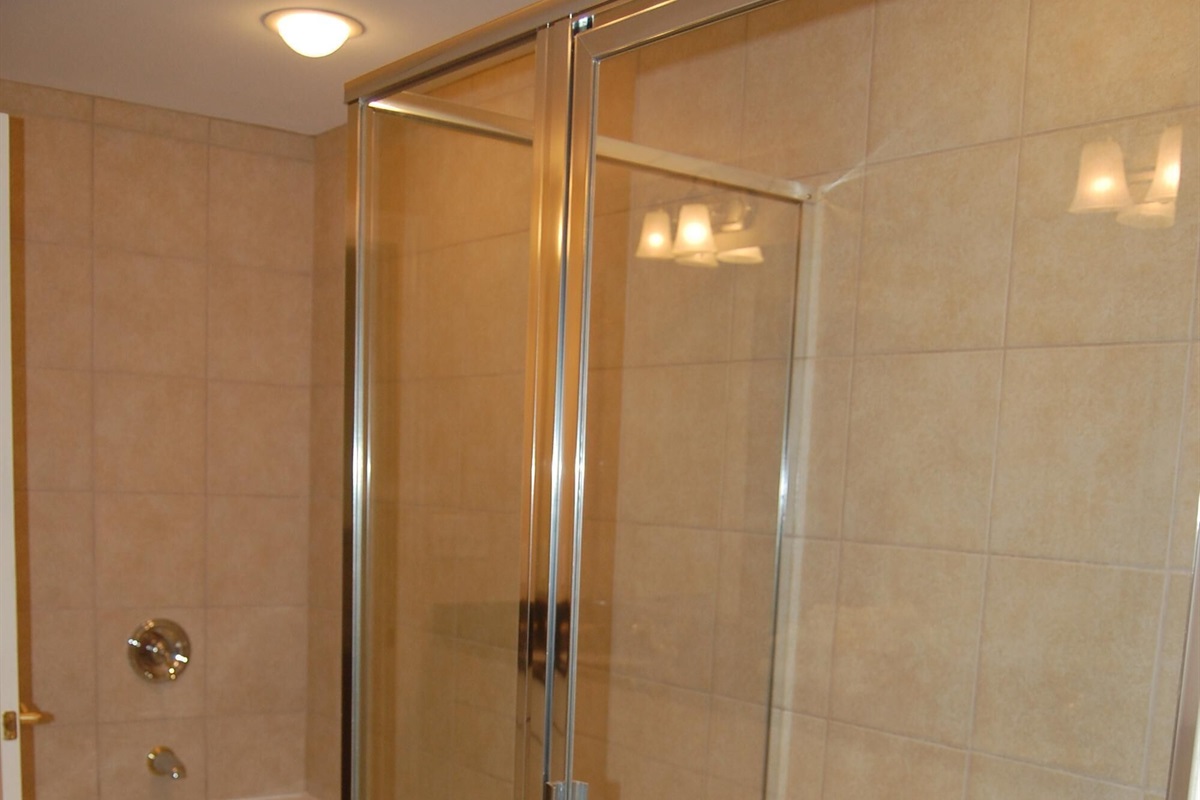 Master Bathroom Shower and Jacuzzi Tub