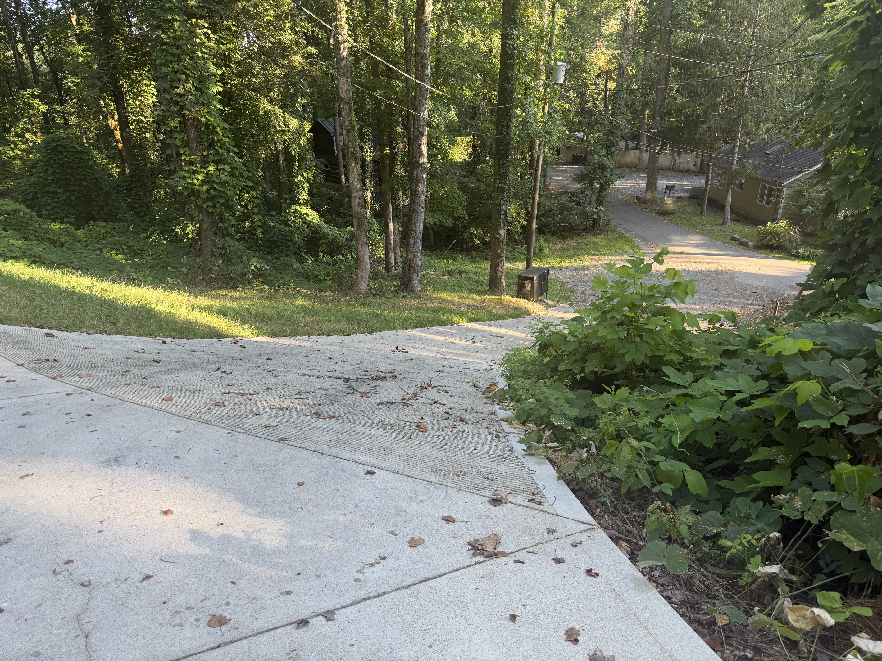 Driveway