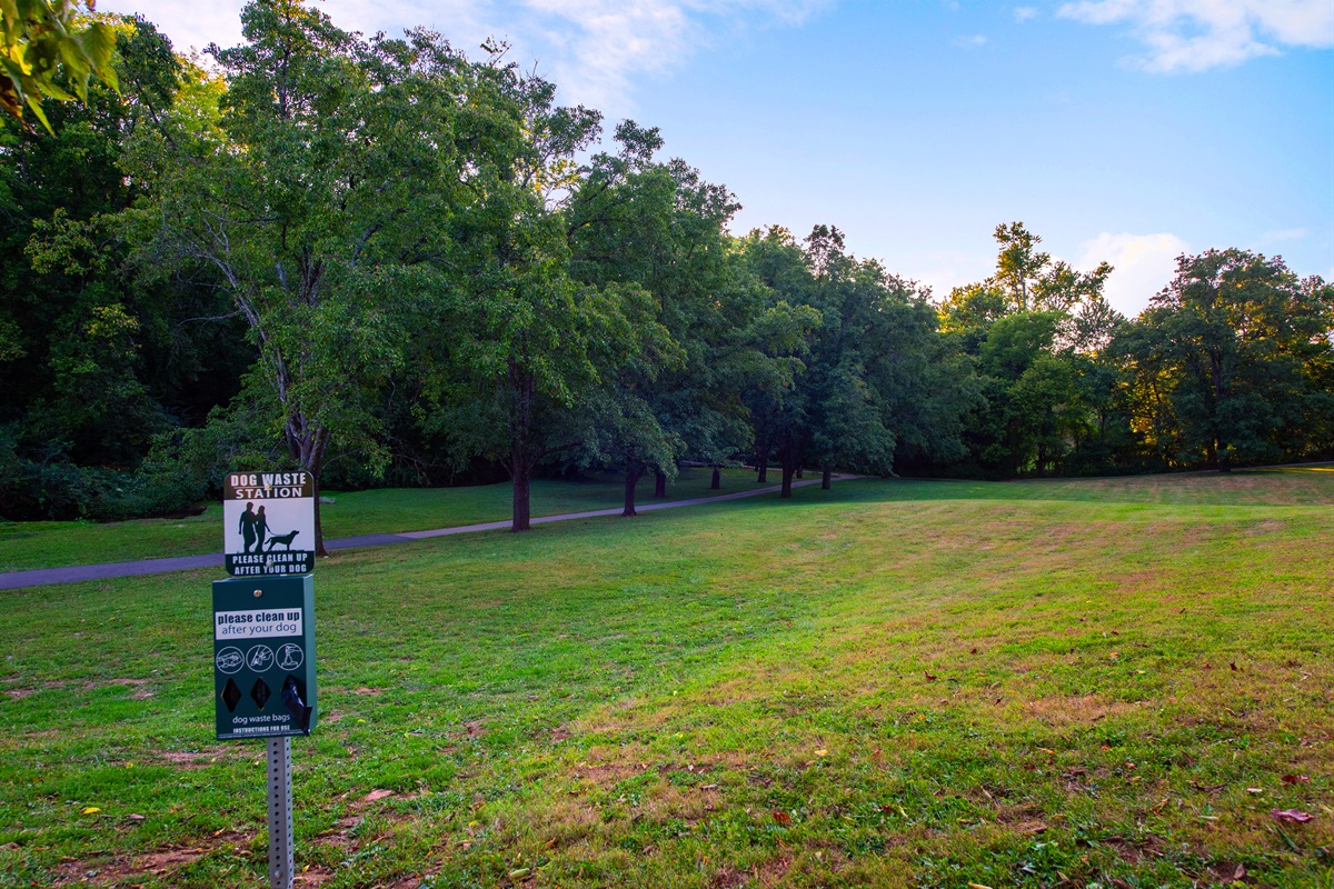 Big Springs Park sits just across the street from the hotel, offering shady trees, walking paths, and a peaceful spot to unwind. Guests can easily reach it either directly across Main Street or by taking the charming shortcut through the library.