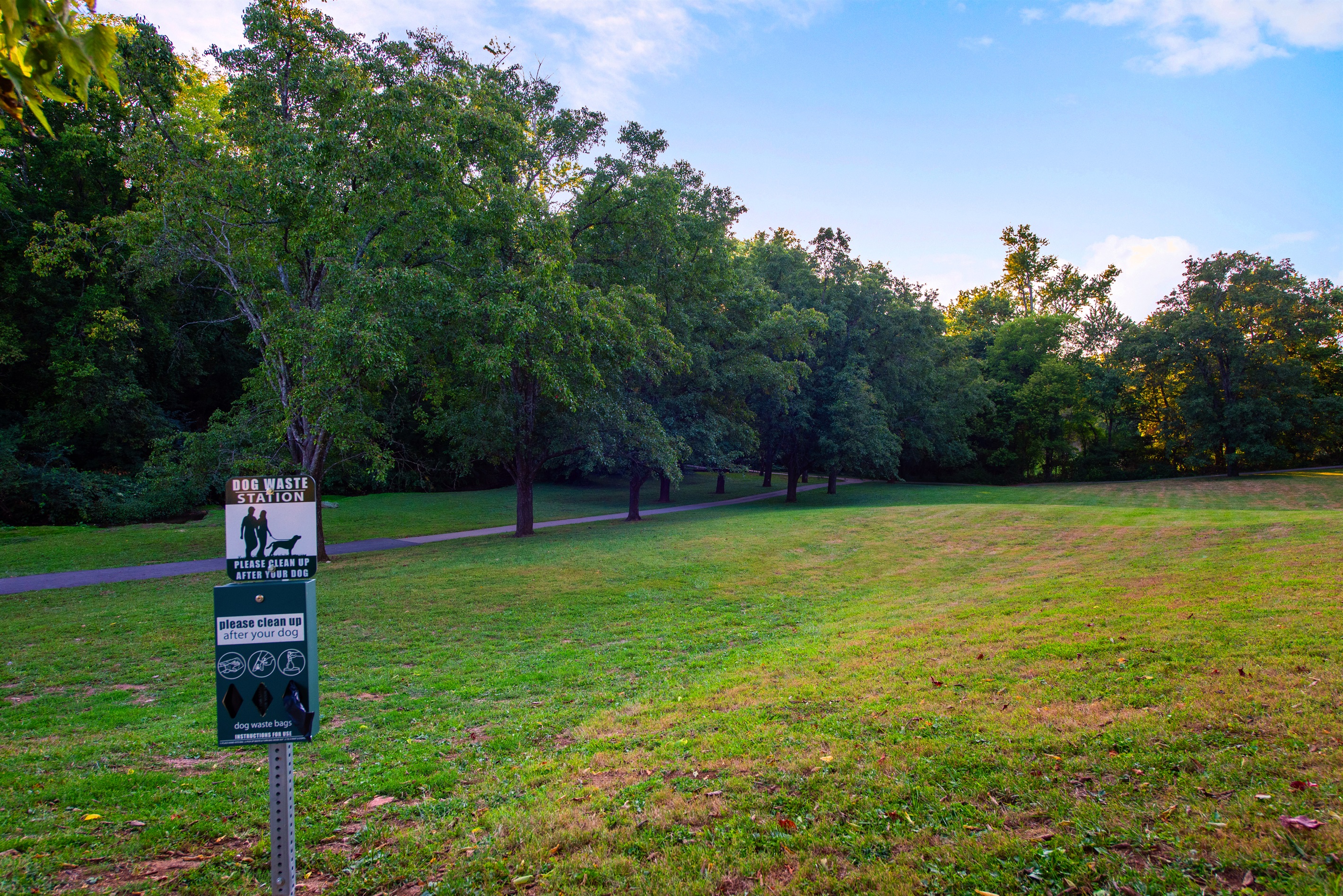 Big Springs Park sits just across the street from the hotel, offering shady trees, walking paths, and a peaceful spot to unwind. Guests can easily reach it either directly across Main Street or by taking the charming shortcut through the library.