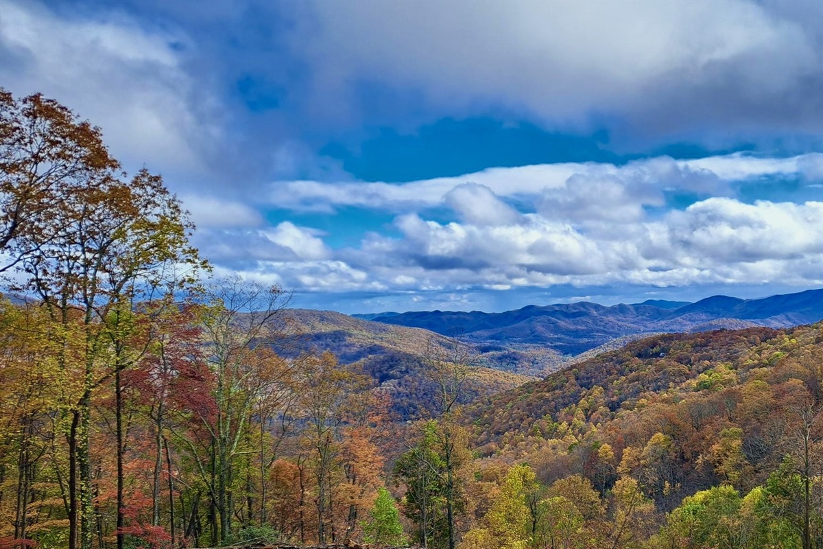 View from your porch