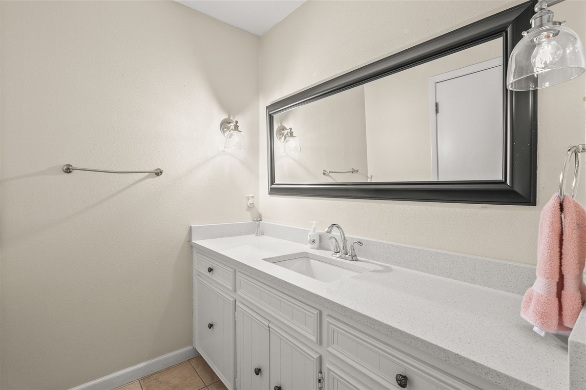 Main Level Guest Bath (sink & toilet)
