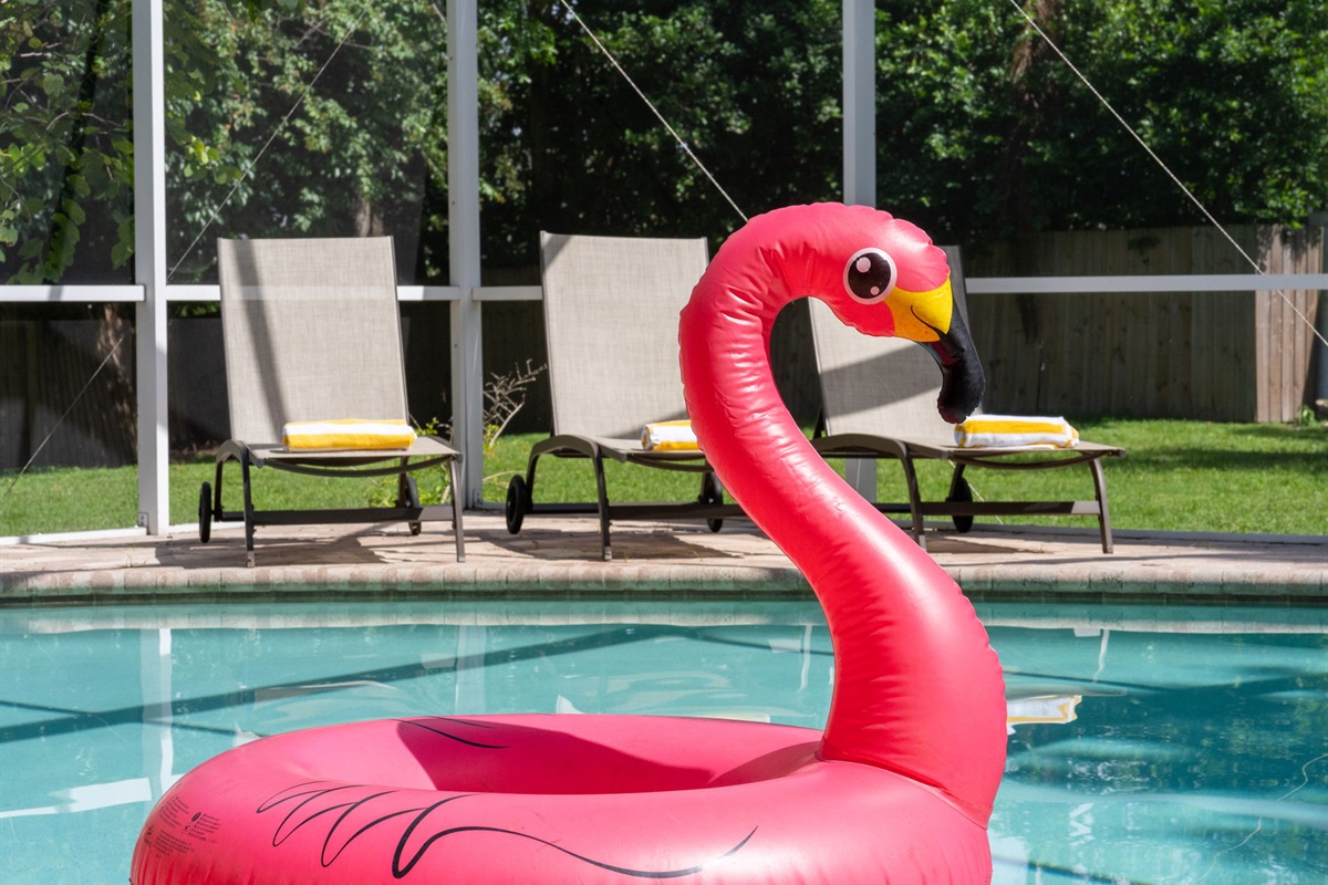 Fully screened enclosure keeps the pool area private and bug-free year-round.