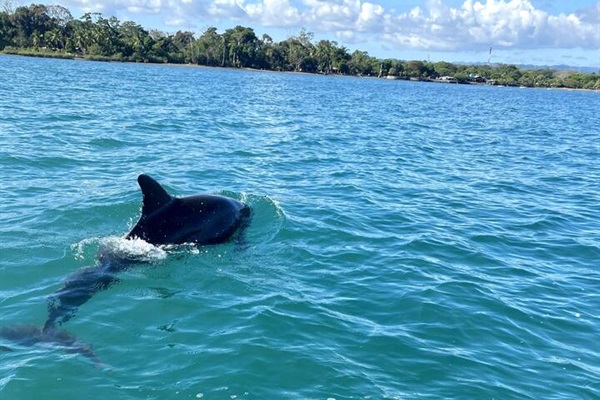 A variety of excursions are available nearby. Our concierge is happy to assist you.