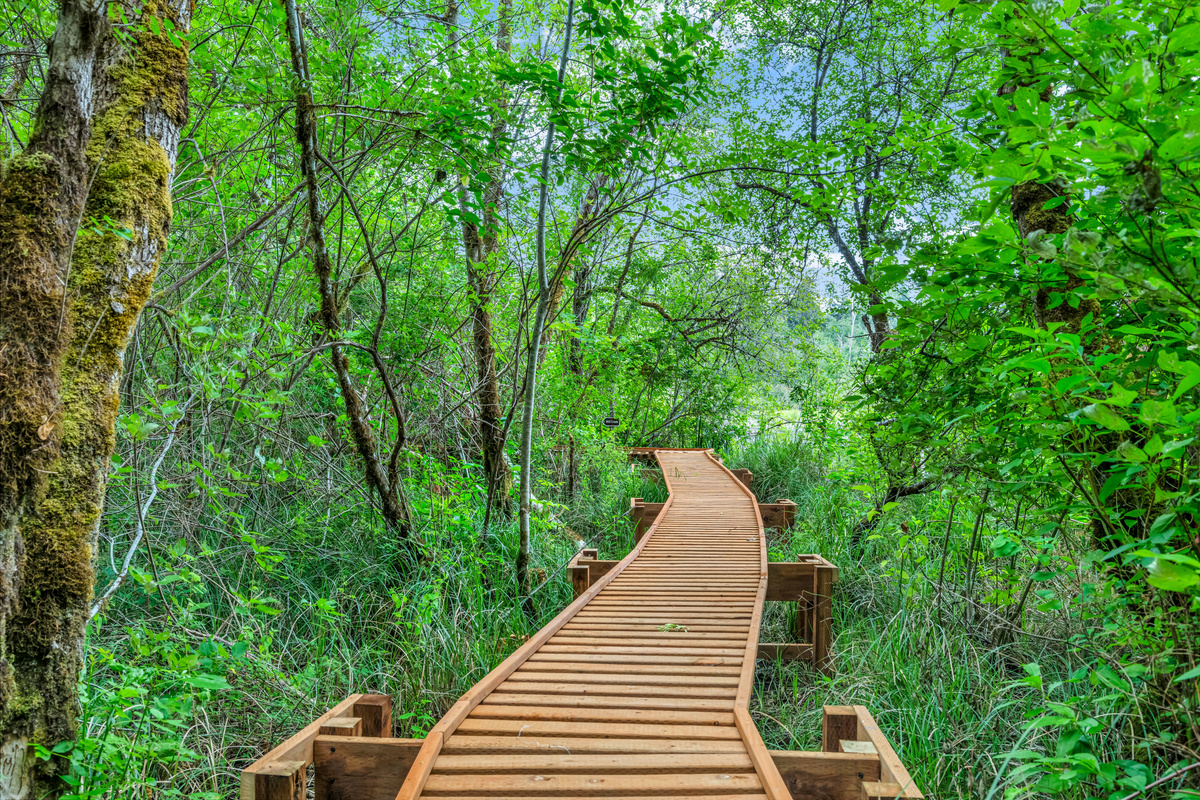 A permitted boardwalk escorts you through the wetland while protecting valuable wetland soils and the wildlife which calls them home.