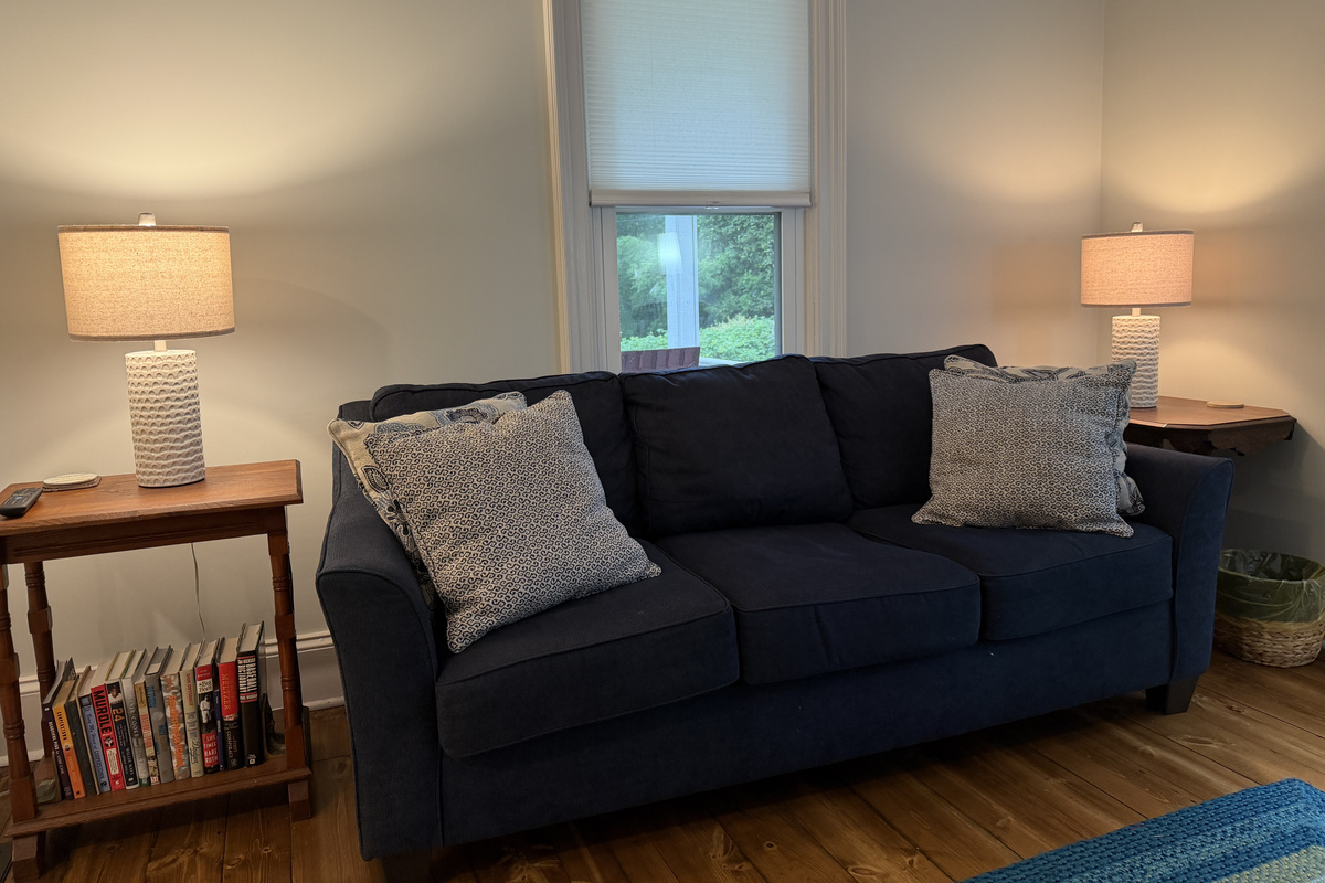 Living room with SmartTV and assorted games and books