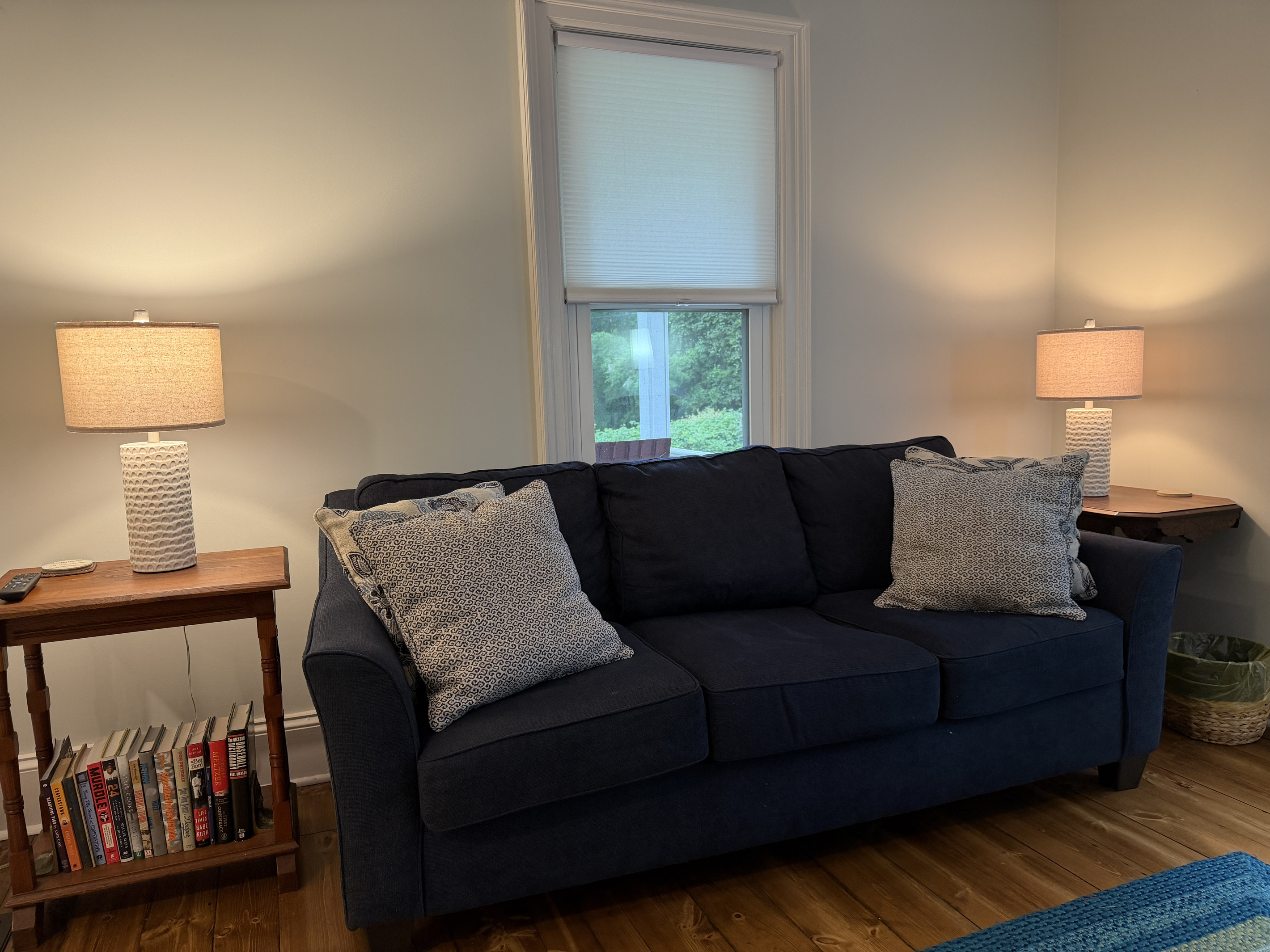 Living room with SmartTV and assorted games and books