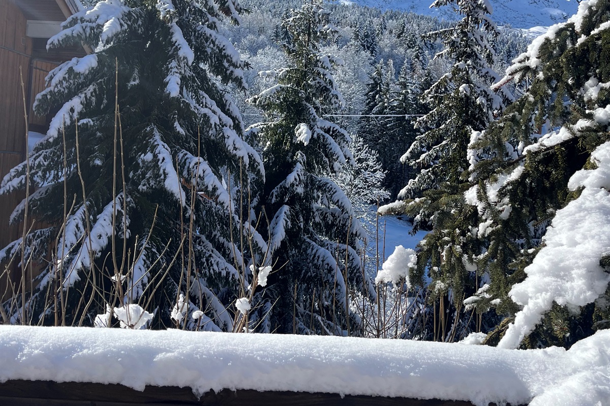 LARGEST RESORT IN THE WORLD