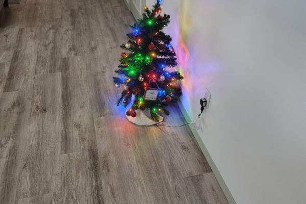 Happy hearts, bright homes.