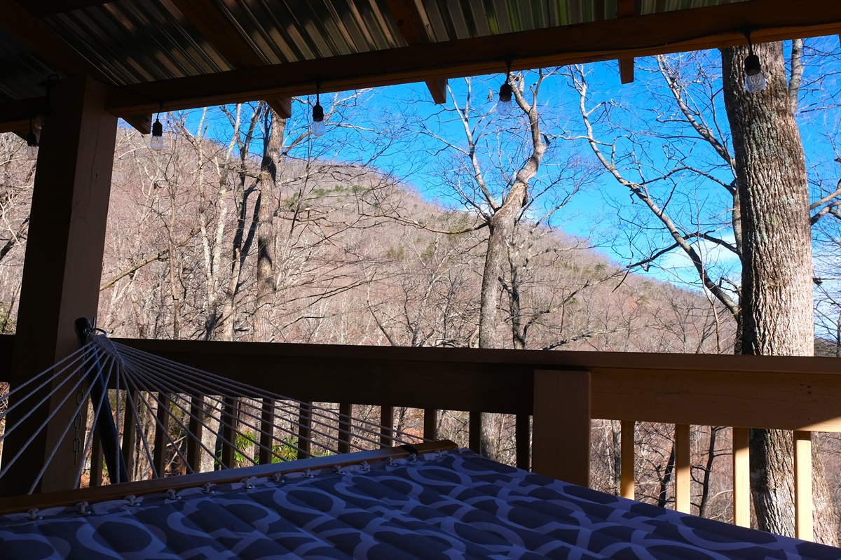 View from Hammock
