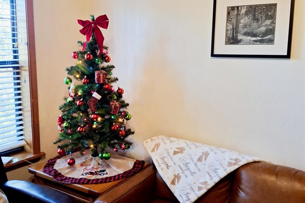 Ready to celebrate X-Mas!