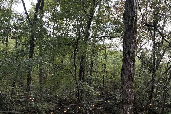View of the outdoor, firepit area