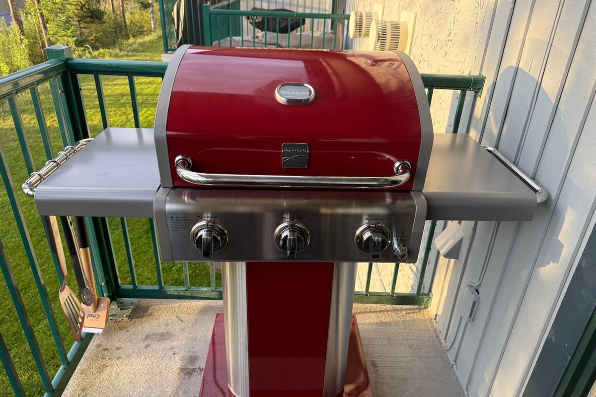 Propane gas BBQ to enjoy a burger or steak any time of the year.
