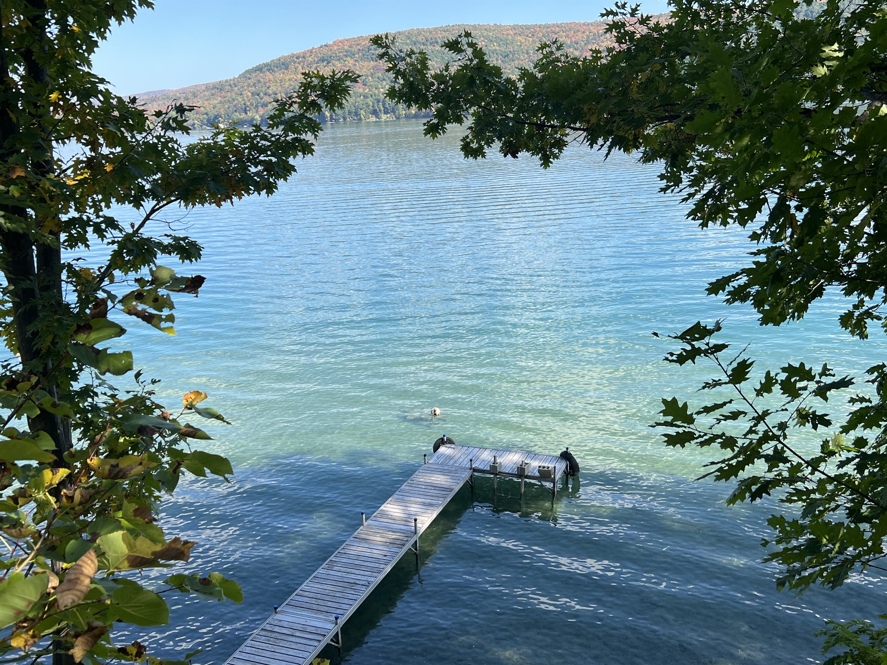 Lille Gossebo Otsego Lake Waterfront with a private dock.