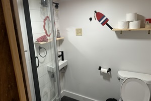 is small but equipped! Brand new stand up shower, toilet and vanity