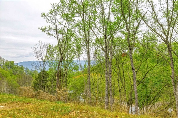Your mountain escape view - wrapped in warm wood and surrounded by nature