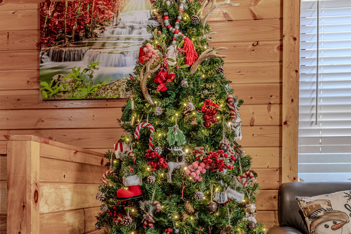 Christmas feels complete at Dream-a-pool-ooza!