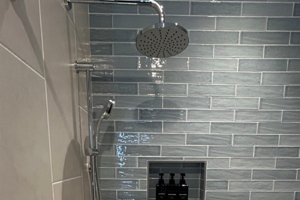  Bath 4 in Walkout Basement