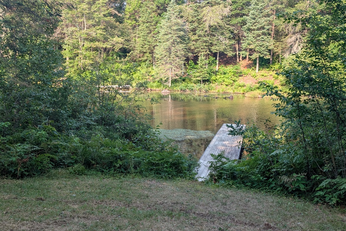 Dock on Killarney Lake