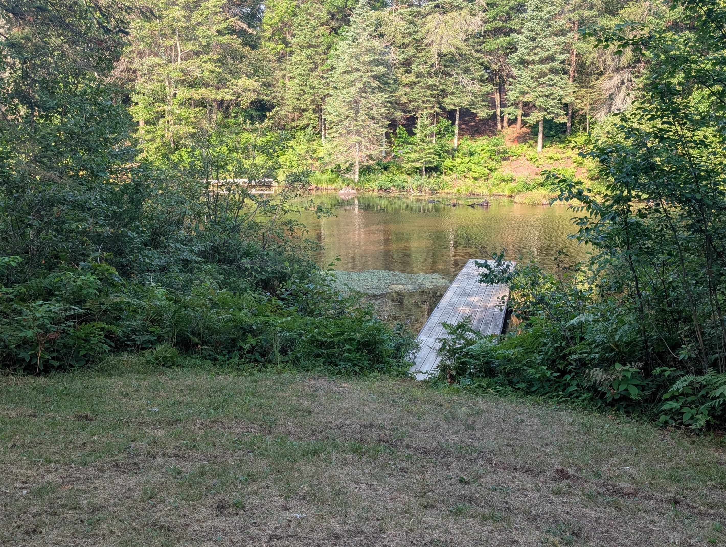 Dock on Killarney Lake