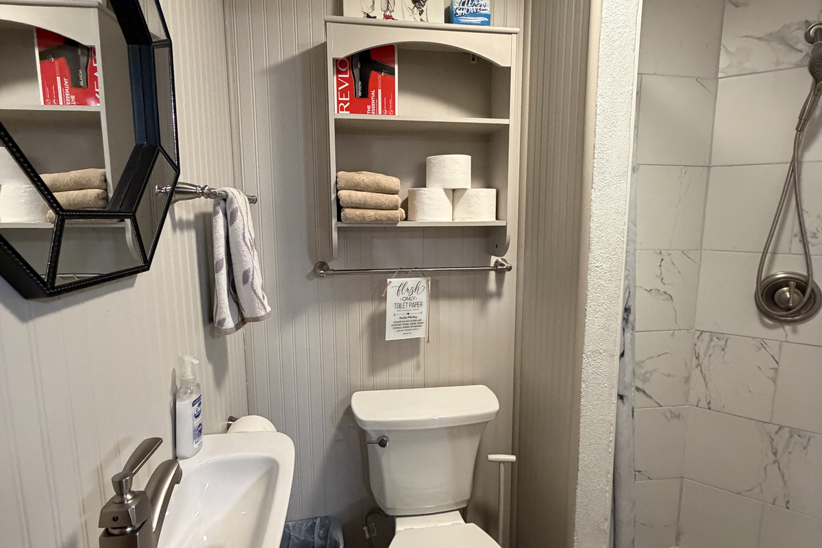 Lower level bathroom with shower