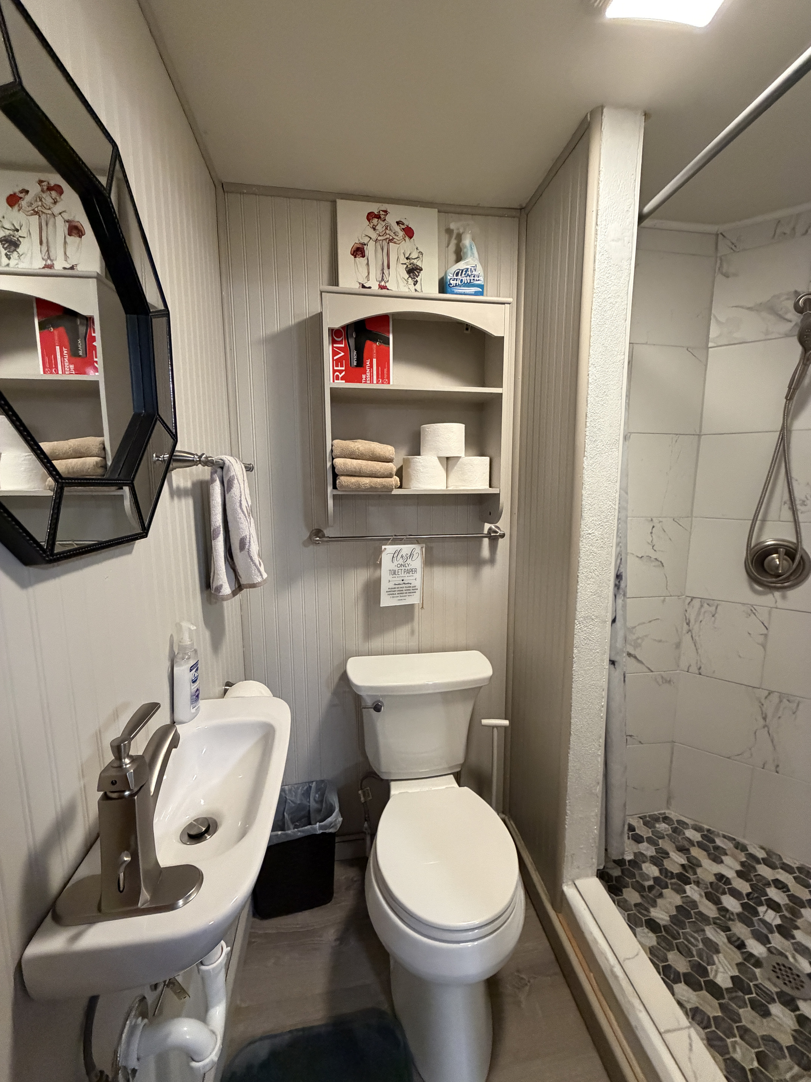 Lower level bathroom with shower