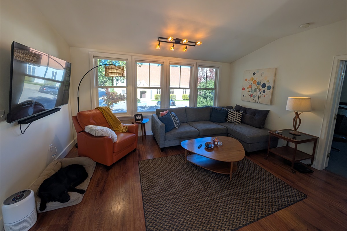 Groovy MCM vibe in the living room