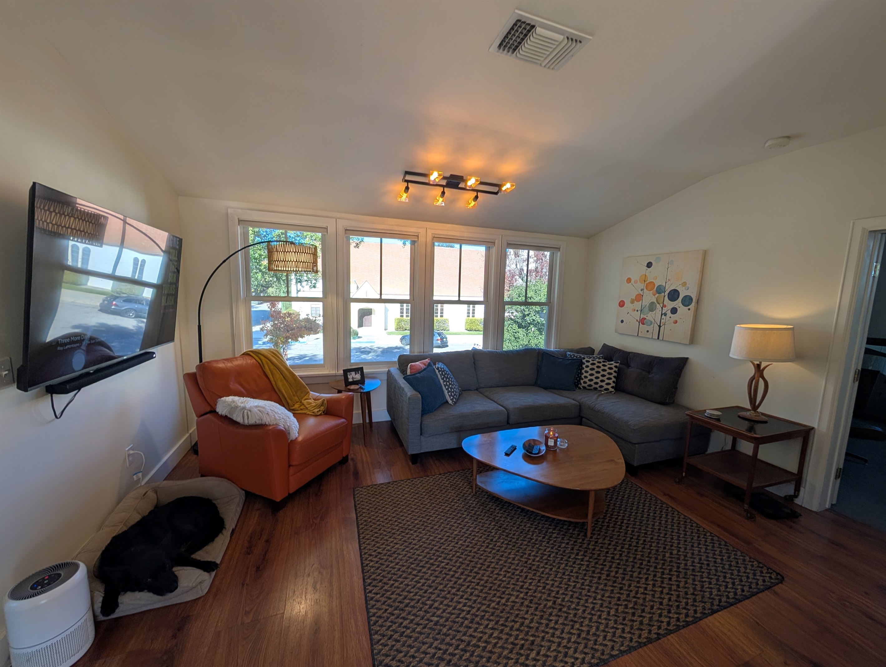 Groovy MCM vibe in the living room