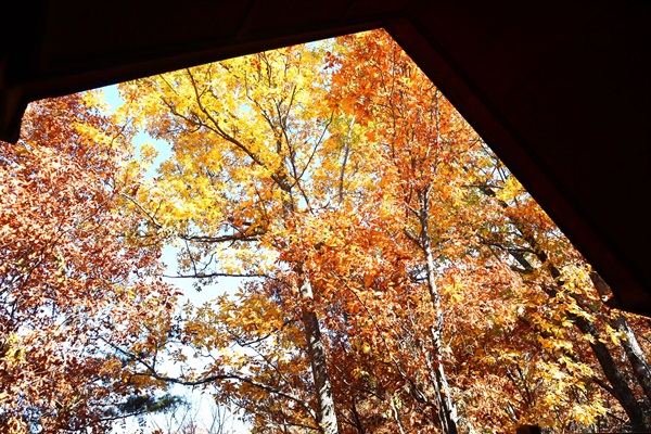 Fall colors in the mountains is amazing!