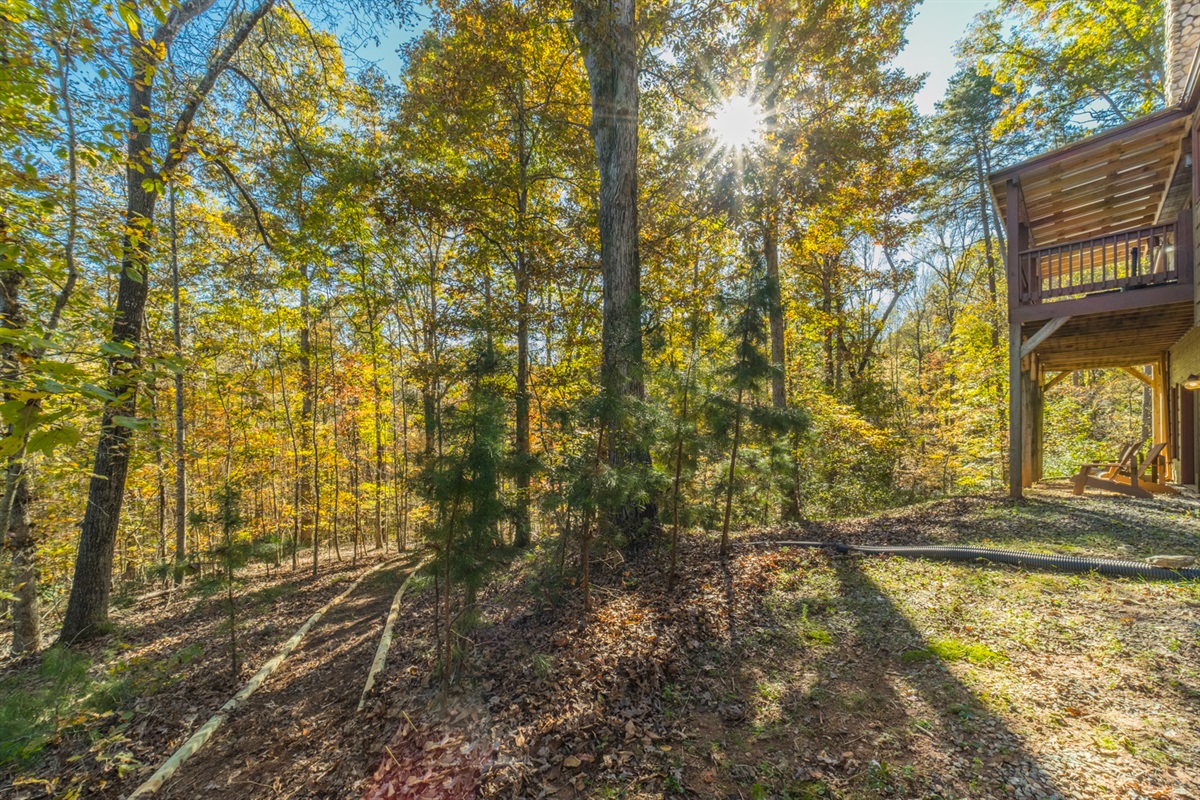 Path to Creek at Bottom of Hill