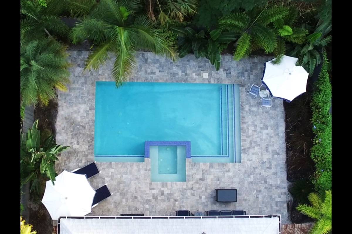 Our lovely, "private" saltwater pool and spa surrounded by tropical flowering plants and vines. 