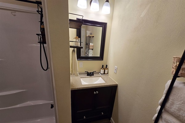 Downstairs bathroom - soap and lotion provided.