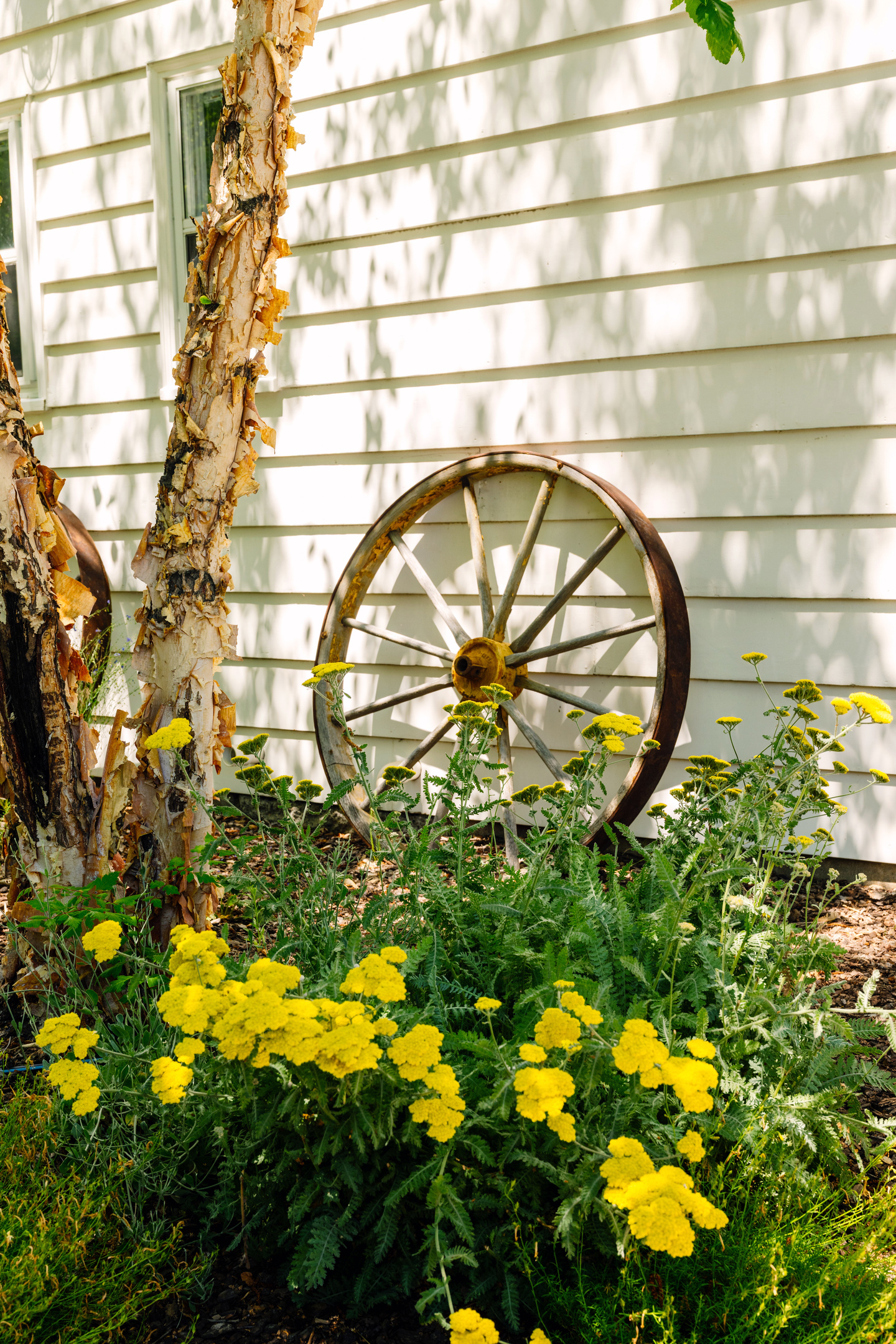 Historic treasures around the property