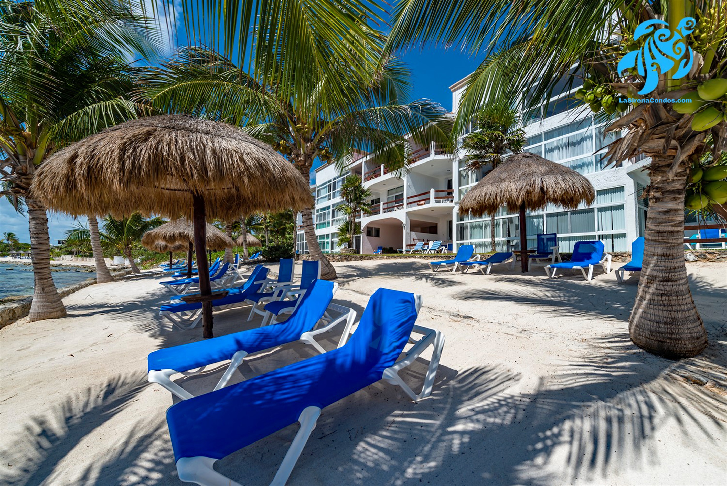 Private Beachfront w/ Lanai-Pool-Tropical Gardens! 2