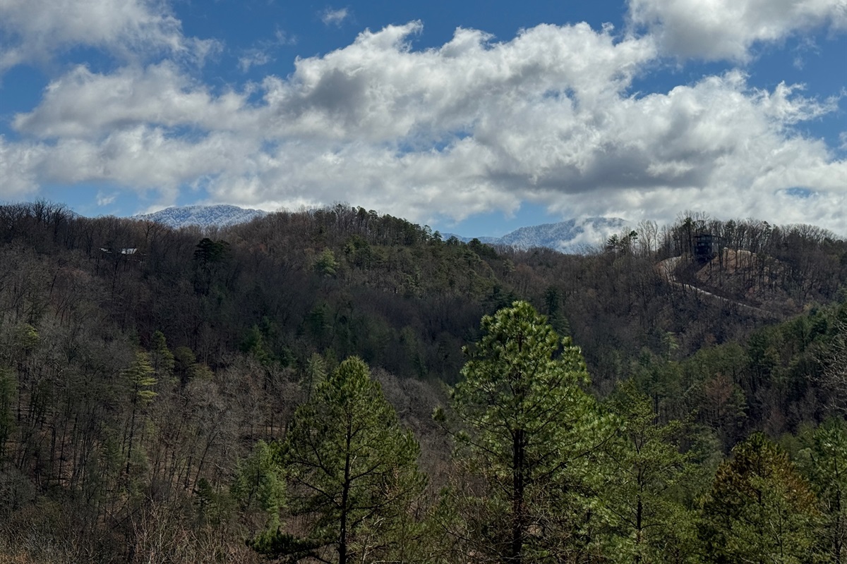 View on a Spring morning