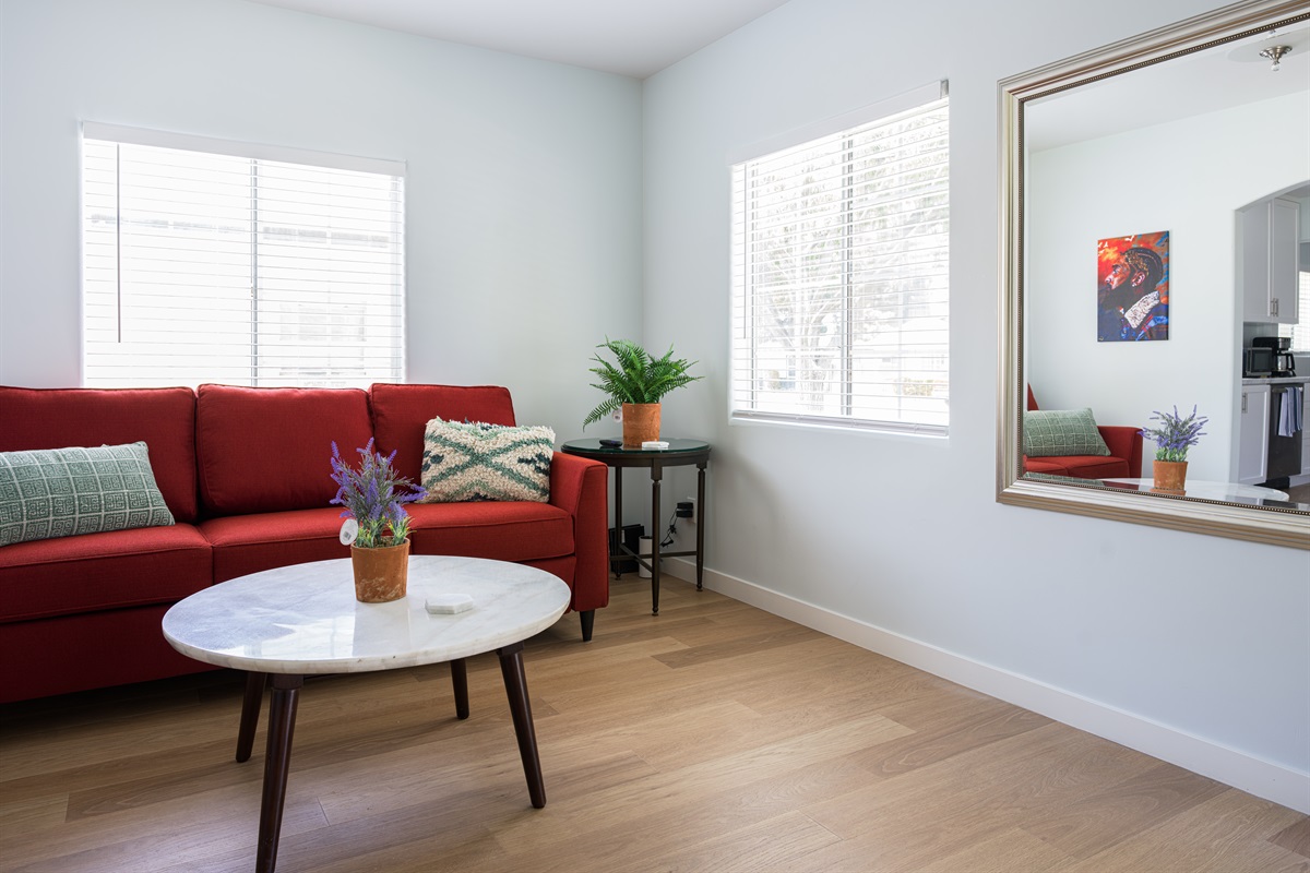 Comfortable couch pulls out into queen size bed