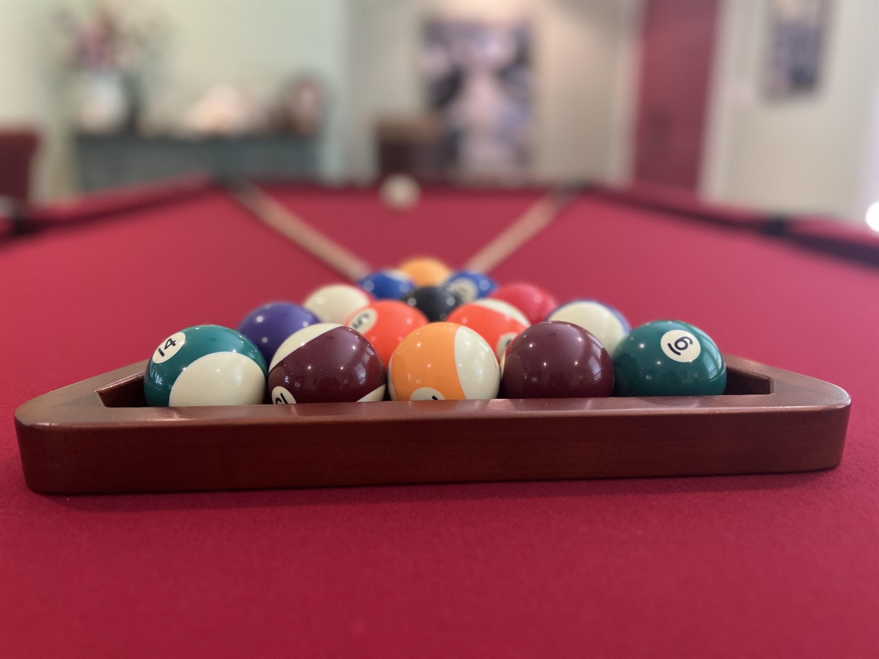 *New* Coastal Palm Harbor Private Home w/ Pool near downtown, beaches & more 5