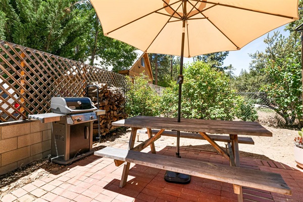 Our patio includes a picnic table, umbrella and propane BBQ