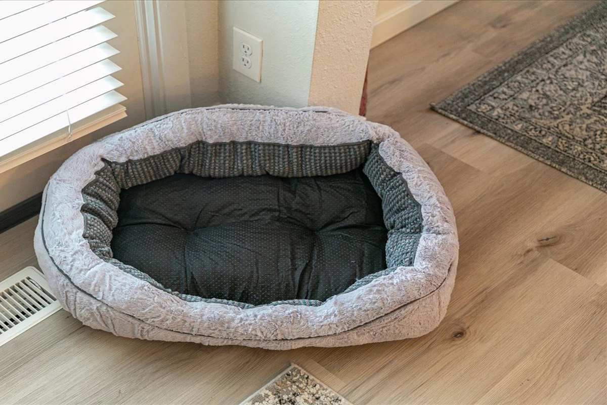 Dog Bed